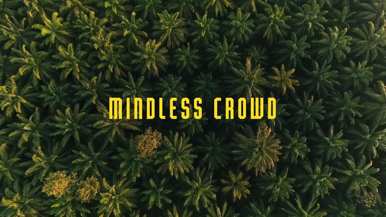 Mindless Crowd